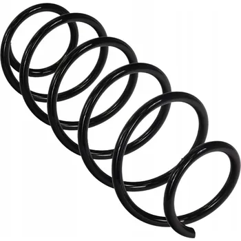 Zavěšení kol Fast FT01885 Pružina zavěšení