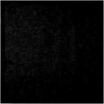 Papírový ubrousek PAPÍROVÉ UBROUSKY ČERNÉ 33X33CM 12 KS