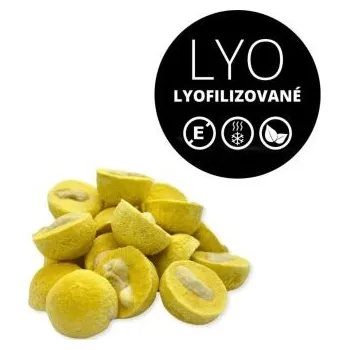 Sušené ovoce MoonFood Lyofilizované ovoce - Kešu v mangové krustě, 50 g