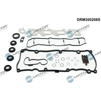 Automobilové těsnění Kompletní sada těsnění, motor Dr.Motor Automotive DRM300208S