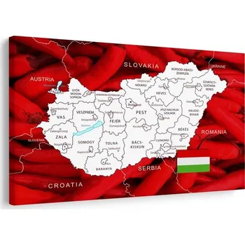 Obraz Dovido Obraz mapa Maďarska s typickým pozadím