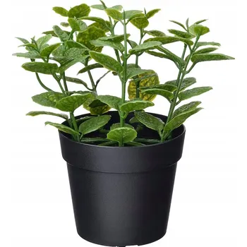 umělá květina IKEA FEJKA Umělá rostlina v květináči MÁTA