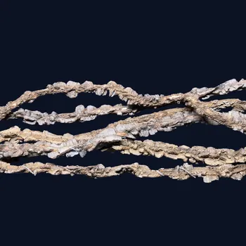 Teraristika Přírodní korková liána do terária 100 cm - Dekorace, ozdoba, vybavení