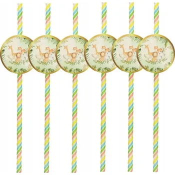 Papírová Brčka TnF 6 ks