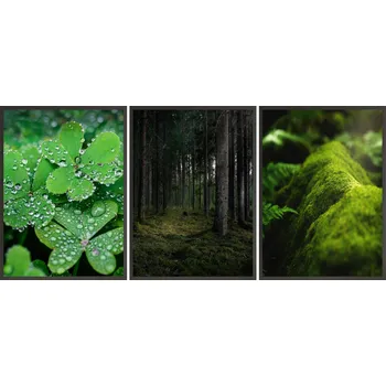 Obraz Postery + RÁMY 3x 24x33 listy les příroda