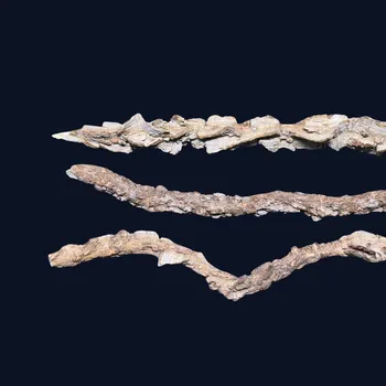 Dekorace do terária Přírodní korková liána do terária 50 cm - Korková dekorace, ozdoba, vybavení