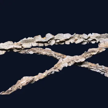 Dekorace do terária Přírodní korková liána do terária 10 cm - Dekorace, úkryt