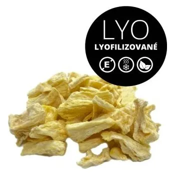 Sušené ovoce MoonFood Lyofilizované ovoce - Ananas, 100 g