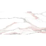 EBS Fantasy Pink 60x120 cm – Rektifikovaná Dlažba, Lesklý Mramorový Vzhled