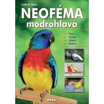 Neoféma modrohlavá - Colin O´Hara