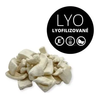 Sušené ovoce MoonFood Lyofilizované ovoce - Kokos, 50 g