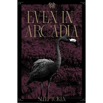 Obraz Plakát s hudebním motivem 61 x 91,5 cm