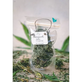 Sazenice Italská odrůda se všemi přednostmi. V balení jsou převážně květy. Momentální vrchol v naší nabídce herby.