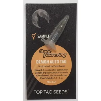 Semeno Regulérní samonakvétací semínka odrůdy Demon Auto Tao od seedbanky Top Tao Seeds.