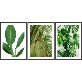 Obraz Sada Plakátů + RÁMY 3x 33x43 monstera PŘÍRODA