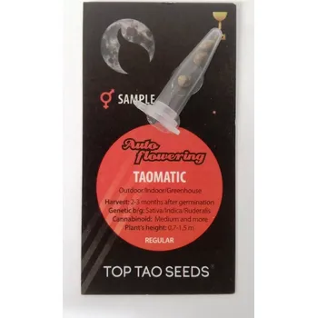 Semeno Regulérní samonakvétací semínka od Top Tao Seeds