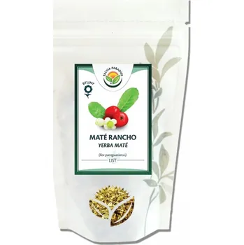 Čaj Zelená forma tradičního jihoamerického rostlinného čaje maté z cesmíny paraguayské.
