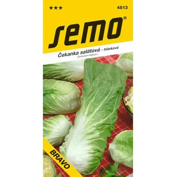 Semeno Čekanka salátová BRAVO Pan Di Zuc. 0,3 g