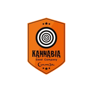 Semeno Feminizované semínko odrůdy Skunk+ od seedbanky Kannabia