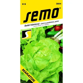 Semeno Salát MARATON