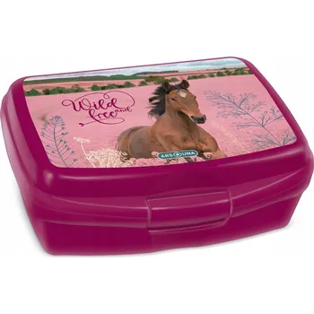 Svačinový box Divoký a volný obědový Krabička