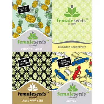 Časopis ROOTS - Roční předplatné (12 čísel) + 10 feminizovaných semínek od Female Seeds - Canna Media