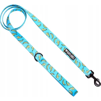 Vodítko pro psa Tradiční Vodítko Baylebel , 180 m páska