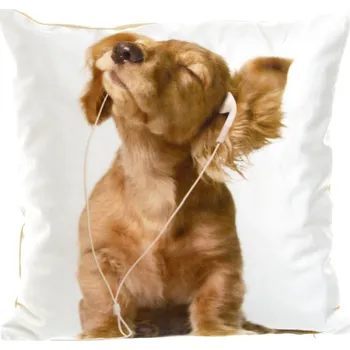 Povlak na dekorativní polštářek Velurový povlak na polštář 40x40 cm Barevný dekorativní povlak na polštářek Pes