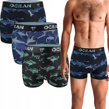 Dámské spodní prádlo Spodní Prádlo Boxerky Neti vícebarevné, velikost XL