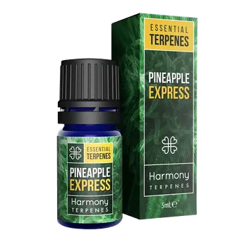 Semeno Světově proslulý strain, směs terpenů Pinpenple Express terpenes se pyšní svou jedinečnou ovocnou chutí pocházející z alfa / beta-pinenu. Energická směs ananasu, cedru a borovice je ideální pro jakékoli využití.