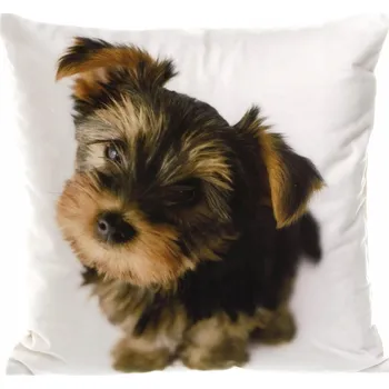 Povlak na dekorativní polštářek Velurový povlak na polštář 40x40 cm Barevný dekorativní povlak na polštářek Pes