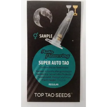 Semeno Regulérní samonakvétací semínka od Top Tao Seeds