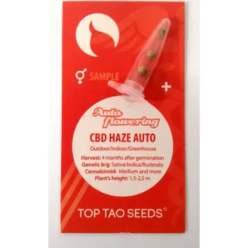 Semeno Regulérní samonakvétací semínka od Top Tao Seeds