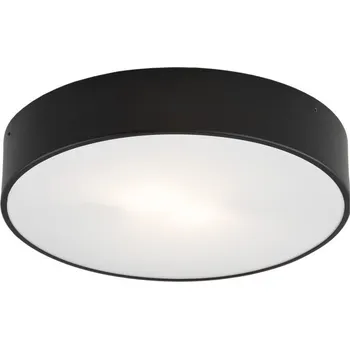 Stropní světlo Argon 3570 - LED Stropní svítidlo DARLING LED/25W/230V