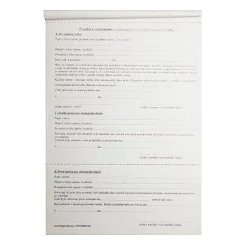 Tiskopis Tiskopis-Protokol o pokousání blok 100 listů