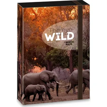 desky na sešit Desky s gumou A5 ARS UNA