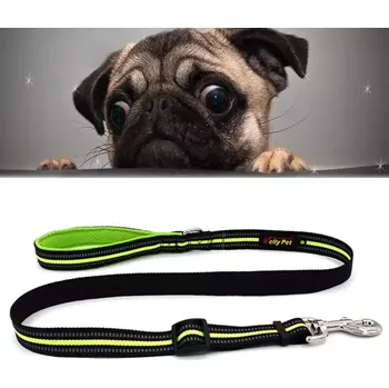 Vodítko pro psa TopTechnology Vodítko pro psy: Nylonové reflexní vodítko s měkkým úchopem, Velikost: M, Nastavitelný rozsah: 100-140cm (zelené)
