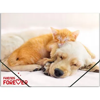 Pořadač / Organizér A4 Panta Plast