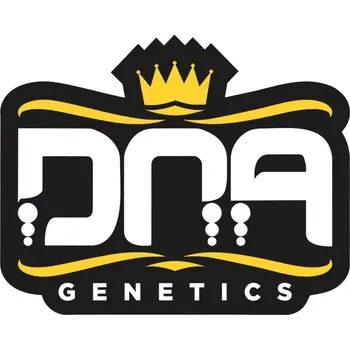 Semeno Feminizované semínko odrůdy OG Kush od seedbanky DNA Genetics.