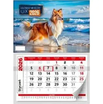 Kalendář Kalendarz 2026 ścienny miesięczny lux