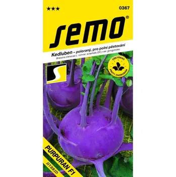 Semeno Kedluben PURPURAN 50 semen