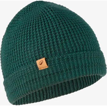 Pokrývka hlavy DECATHLON Čepice hřejivá větruodolná Sailing 500 ZELENÁ