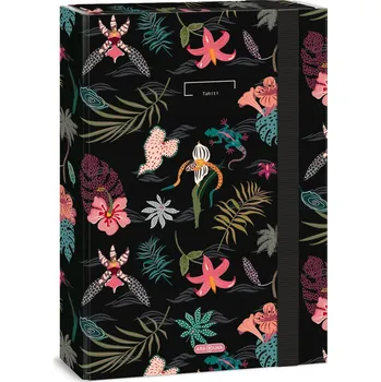 desky na sešit Desky s gumou A4 ARS UNA