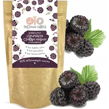 Sušené ovoce OTOLANDIA OTO LYOFILIZOVANÉ OVOCE MALINA ČERNÁ V KUSOVÉ FORMĚ BEZ CUKRU 20g