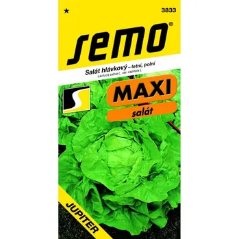 Semeno Salát JUPITER 0,3 g