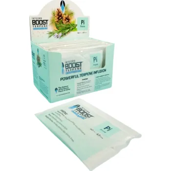 Pohlcovač vlhkosti Integra Boost 62% 67g, PINENE, 1 ks