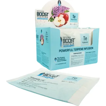 Pohlcovač vlhkosti Integra Boost 62% 67g, TERPINOLENE, 1ks