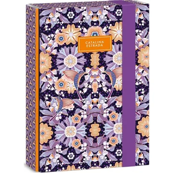 desky na sešit Desky s gumou A5 ARS UNA