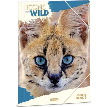 Desky s gumou A4 ARS UNA