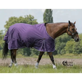 Deka pro koně Deka výběhová EquiTheme -TYREX AISANCE 600D 300G- - Fialová - 125cm